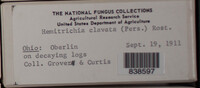 Image Associated With the Occurence